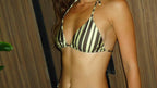 Stripes